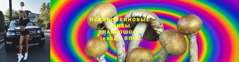 Галлюциногенные грибы Magic Shrooms  Костерёво 